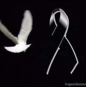 Meet your Posher, Ely